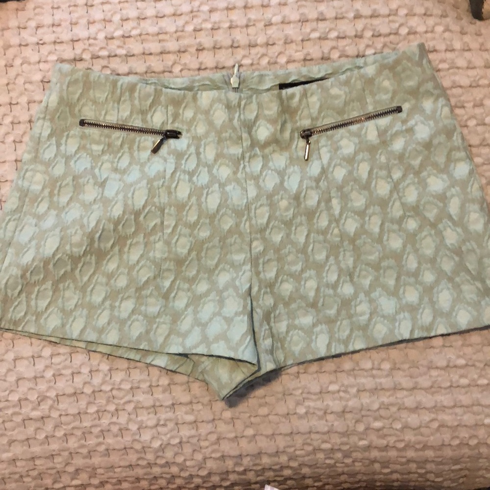 Zara Shorts